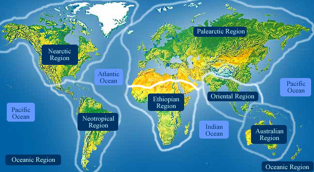 the world's ecological zones