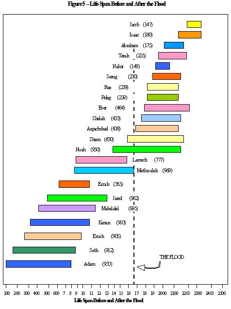 The shortening of lifespans