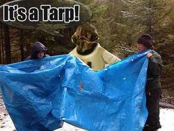 It's a tarp!