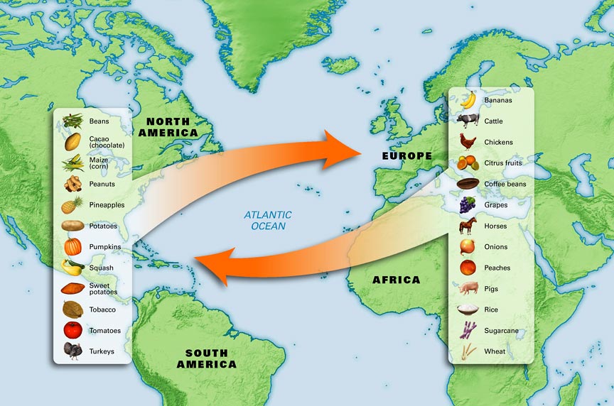 A map of the Columbian Exchange.