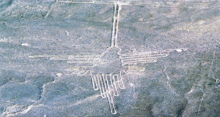 Nazca hummingbird.