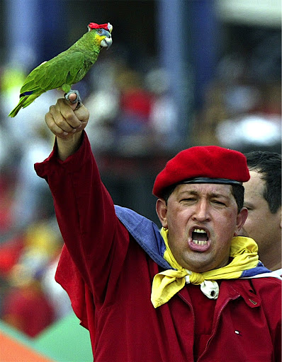Hugo Chavez & his parrot.